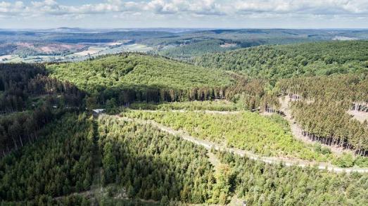 Luftaufnahme aus dem Solling: Noch junger, vielfältig gemischter, klimastabiler Wald auf durch den Sturm Kyrill 2007 geschädigten Flächen; Foto: Niedersächsische Landesforsten