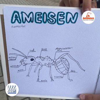 Ameisen-Event Stadtbibliothek.png