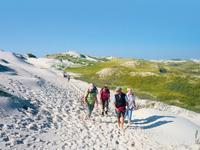 Deichwanderung auf Amrum