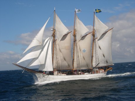Dreimastschoner Ingo (c) Hanse Sail Verein.jpg