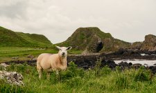 Grüne Insel, große Momente / Bilder: Karawane Reisen / Sabrina Bechthold / couchflucht / Mark Flagler / Tourism Irland