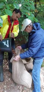 Anschließend schüttet er die Eichel-Ernte in einen Sack, ©Rudolph / Landesforsten