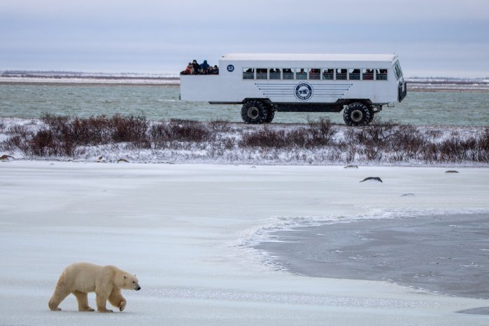 1835 (c) Alex Cupeiro, Frontiers North Adventures.jpg