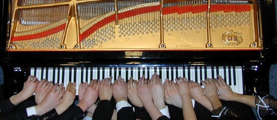 12 Pianisten_Quelle_Dennis Kleinbub.jpg