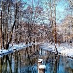 Auch im Winter eine Reise wert: Das UNESCO Biosphärenreservat Spreewald