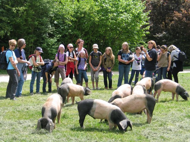 FLM Neuhausen Historische Schweinehut 2.JPG