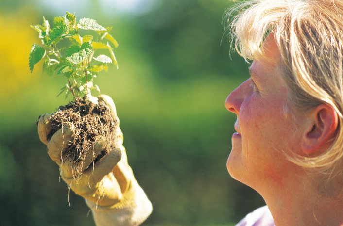 weleda_frau mit urtica urens.jpg