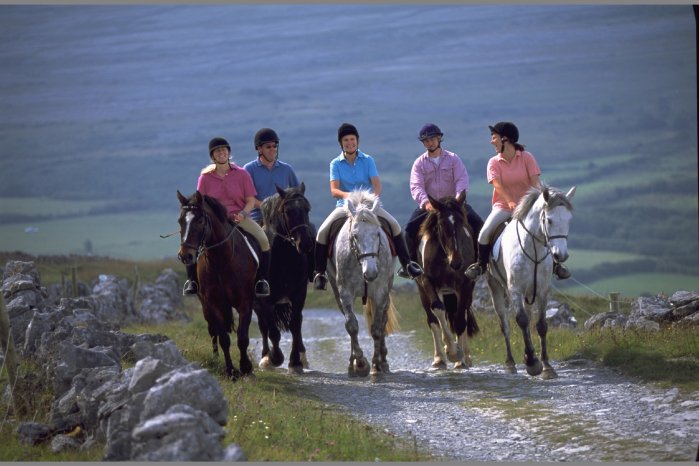 Reiter auf Landweg_IFZ.jpg