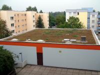 Auch extensiv begrünte Dächer, wie sie z. B. oft auf Garagen angelegt werden, erfordern einen exakt definierten schichtweisen Aufbau, um Dichtigkeit und Wasserabführung sicherzustellen.