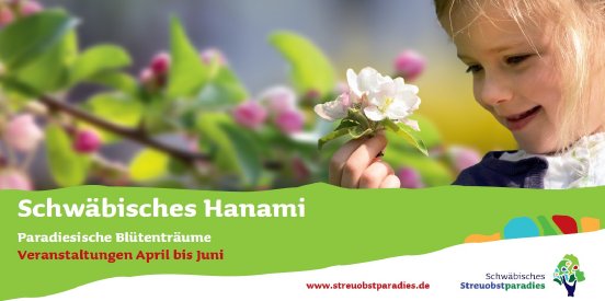 Hanami Flyer Bild.jpg