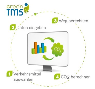 Green TMS - Visual.JPG