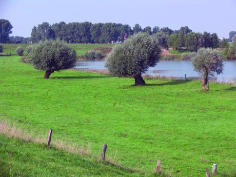 Niederrheinische Landschaft_mr.jpg