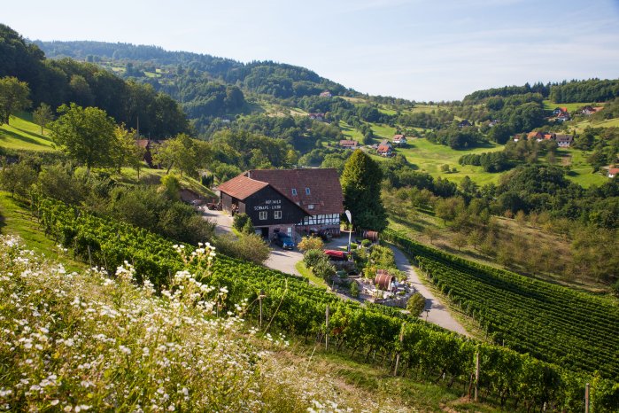 Sasbachwalden_Schlafen im Weinfass © TI Sasbachwalden.JPG