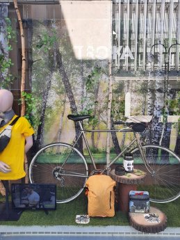 Schaufenster Ortloff_Troika (8).jpg