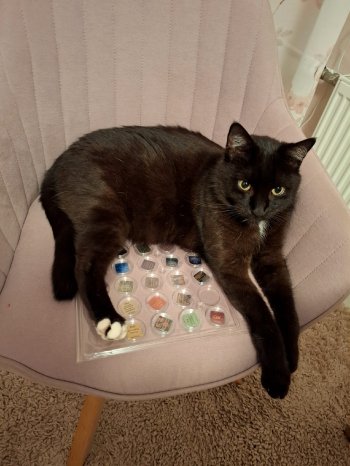 Kater läd sich auf.jpg