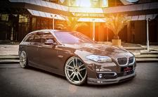 Barracuda  Shoxx   5erF11