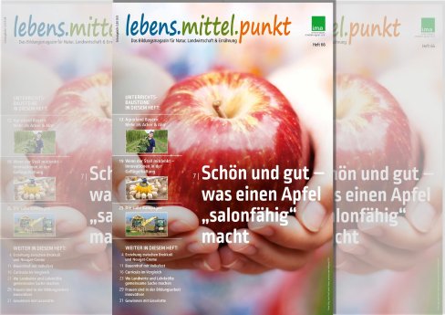 pm_lmp_66_260907_artikel.jpg