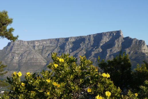 Tafelberg_Suedafrika_KarawaneReisen_BFS.jpg
