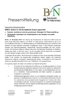 PM Austern-Allianz.pdf