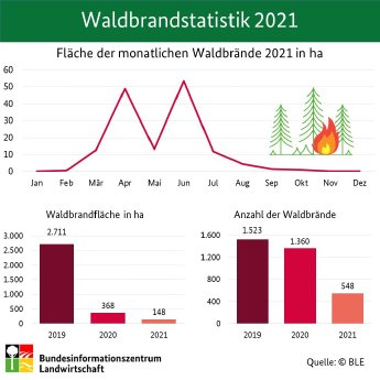 Waldbrandstatistik_2021.jpg