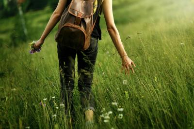 Neues Angebot: Kräuterwanderung für Jung und Alt