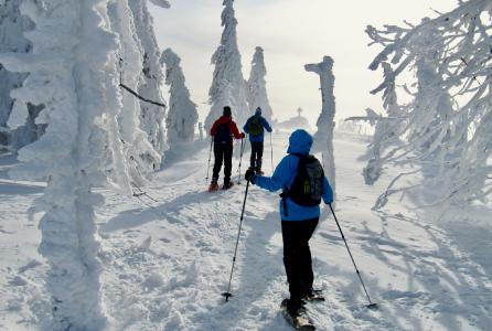 Foto: obx-news/Tourismusverband Ostbayern/Rudi Simeth