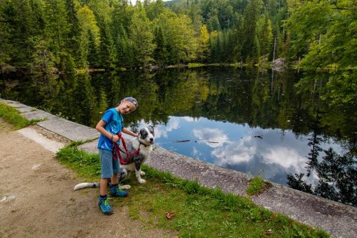 Urlaub mit Hund in der Ferienregion Nationalpark Bayerischer Wald  © FNBW.jpg
