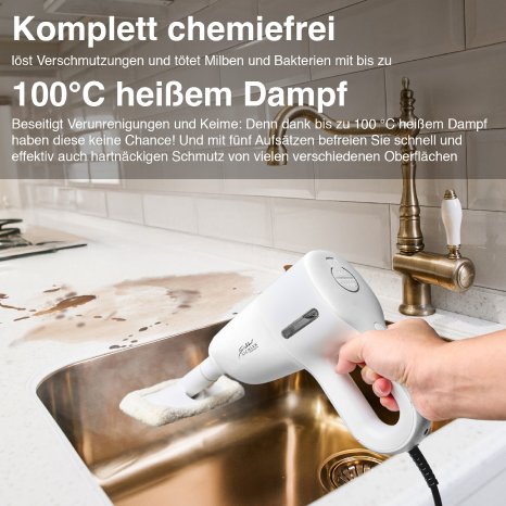 ZX-6959_09_Dampfreiniger_DB-500.jpg