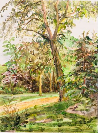 BU3_Mein Garten_Carla Zierenberg_Kunsthaus Leer.JPG