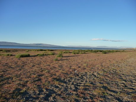 060-El Calafate (c) K.-H. Milter, Karawane.JPG