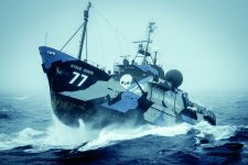 Sea Shepherd Schiff 