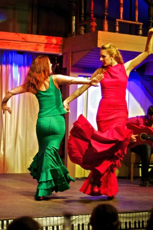 Flamenco Magna Mata, Foto Stargard.jpg