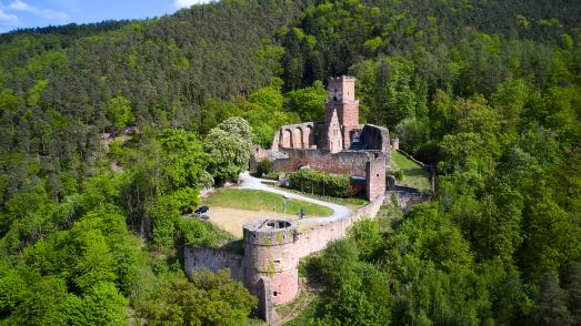 Die Burg Freudenberg, auch Freudenburg genannt, ist die Ruine einer Hangburg bei Freudenberg im Main-Tauber-Kreis in Baden-Württemberg.
Die Verwendung des Fotos ist nur honorarfrei im Zusammenhang mit dieser Pressemitteilung und dem Copyrighthinweis „TLT/Peter Frischmuth“.