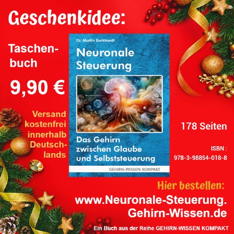 Xmas-GW-Neuronale_Steuerung.png