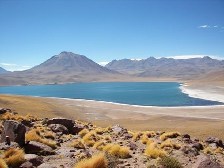 Djoser Reisen_Chile_Atacama Laguna Miniques.jpg