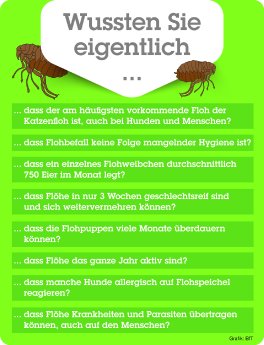 Illustration_Tierfloh_Wussten_Sie_eigentlich....jpg