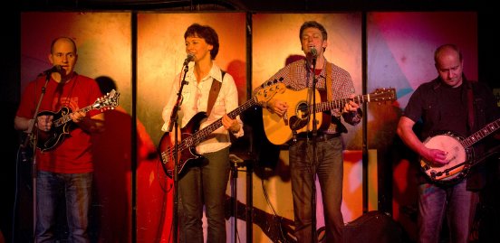 nugget live 2014.jpg