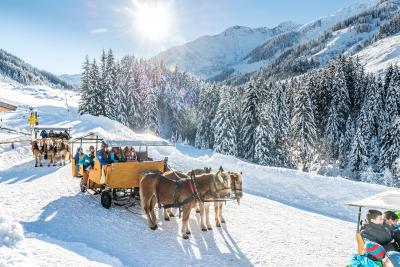 Kutschenfahrt im Ski Juwel