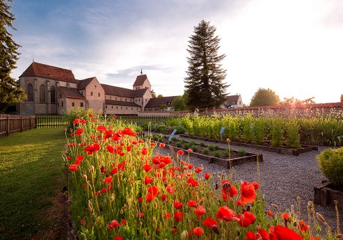 Insel-Reichenau_Kraeutergarten_Bildnachweis_Helmuth Scham.jpg