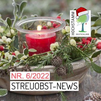 NL 6 2022-Mistel C_Friedrich Strauss.png