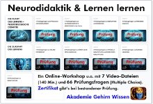 www.Gehirn.Wissen.de
