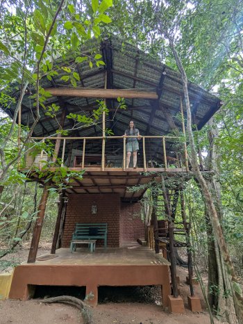 JL im Baumhaus von Back of Beyond bei Sigiriya_PXL_20250623_043206216.jpg