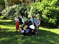 Flamenco, Birkenried