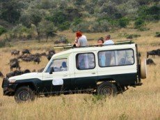 Traumhaftes Safariland.jpg