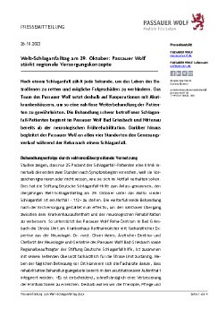 Pressemitteilung zum Welt-Schlaganfalltag.pdf