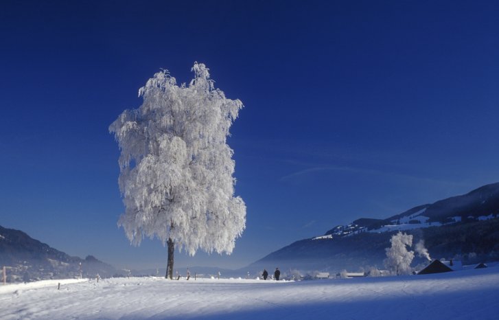 Oberstaufen_Thalkirchdorfer_Winter.jpg