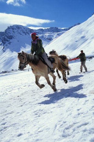 Skijöring, c Dalmasso, Tignes.jpg
