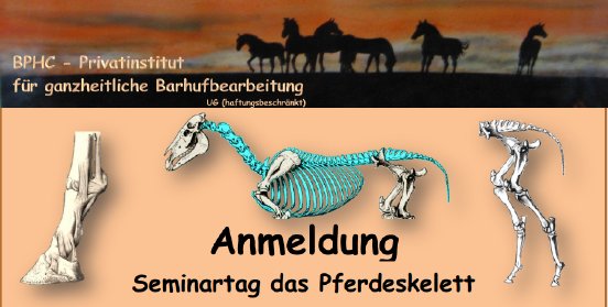 Annelie Michels - Rund um die Anatomie des Pferdes.PNG