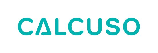 CALCUSO Wordmark.png