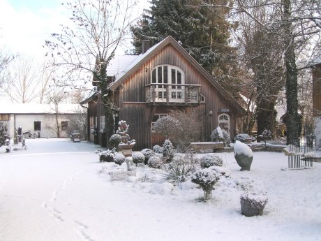 Birkenried im Schnee.JPG